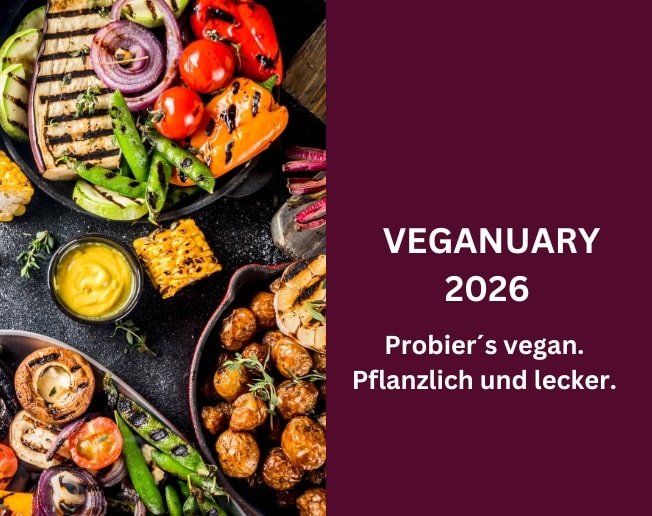 Auf dem Foto sieht man vegane Gemüsegerichte in Töpfen, von Auberginen bis Kartoffeln